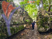 Paku Rock Maze Garden