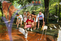 Kuala Lumpur Bird Park, Kl