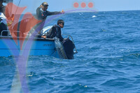 The Royal Pahang Billfish International Challenge