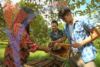 Taman Lebah