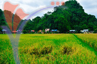 Kampung Ujung Bukit , Perlis