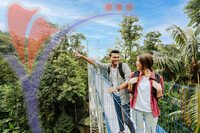 Forest Skywalk