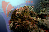Mataking Island - Sabah