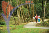 Hutan Bandar