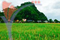 Kampung Ujung Bukit , Perlis
