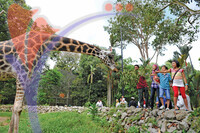 Melaka Zoo