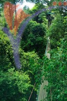 Maliau Basin