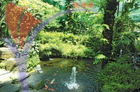 Penang Butterfly Farm - Pulau Pinang