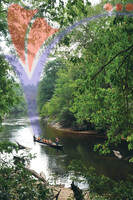 Kuala Koh