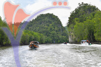 Kilim River Mangrove Tour, Langkawi, Kedah
