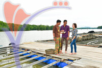 Oyster Farm