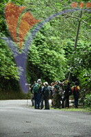 Fraser's Hill International Bird Race