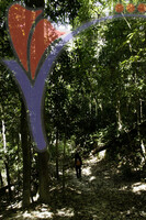 Royal Belum National Park