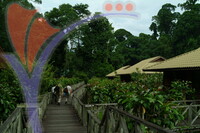 Danum Valley
