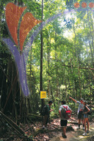Hutan Lipur
