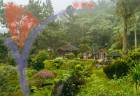 Bukit Larut