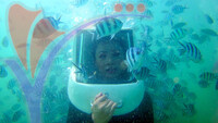 Sea Walking
