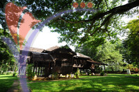 Rumah Tok Su