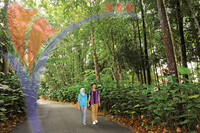 Botanical Garden