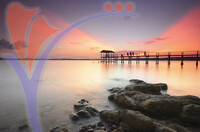 Wooden Jetty At Marina Island, Lumut