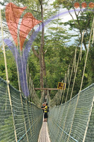 Kuala Koh