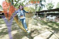 Rabbit Farm