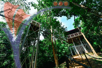 Canopy Walk Guar Chenderai , Perlis