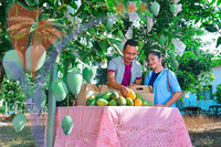 Harum Manis , Perlis