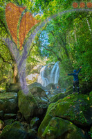 Susung Waterfall - Jurassic Wold Waterfall