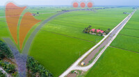 Aerial View of Sekinchan Paddy Field, Selangor