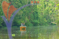 Sukau Kinabatangan