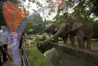 National Zoo