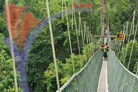 Kuala Koh