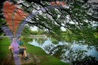 Taiping Lake Garden