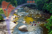 Sungai Sedim