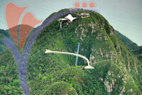 Hanging Bridge Cable Car