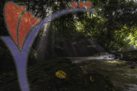 Ray of Light - Rainforest