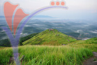 Broga Hill