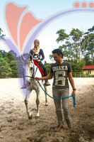 Island Horses - Langkawi