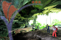 Niah Cave - Sarawak