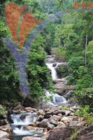 Air Terjun Lasir