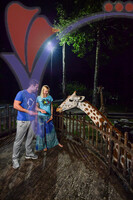 Night Safari Zoo Taiping , Perak