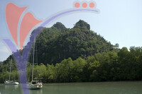 Sungai Kilim (river) - Langkawi