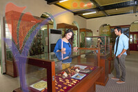 Sarawak Museum