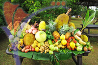 Fruit Farm
