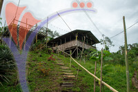 Kampung Sapit Scenery