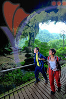 Niah Cave - Sarawak