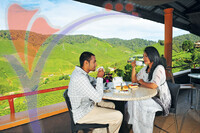 Bharat Tea Plantation