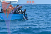The Royal Pahang Billfish International Challenge