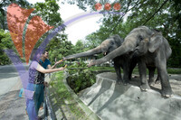 Zoo Negara